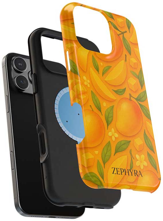 magsafe puzdro iphone 12 Pro